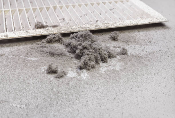 Best Air Duct Sanitizing Services  in South Roxana, IL