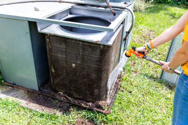 Best Air Vent Cleaning Services  in South Roxana, IL