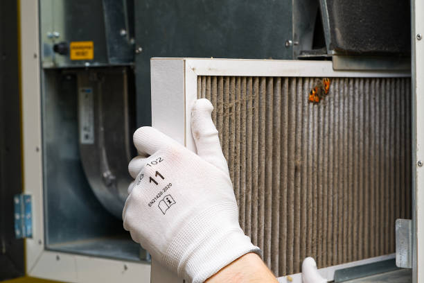 Best Duct Cleaning for Homes  in South Roxana, IL