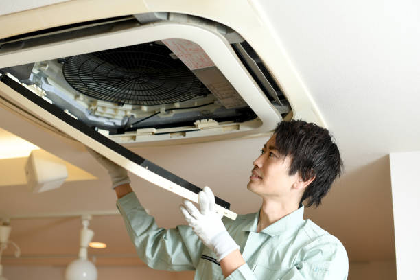 Best Affordable Air Duct Cleaning  in South Roxana, IL