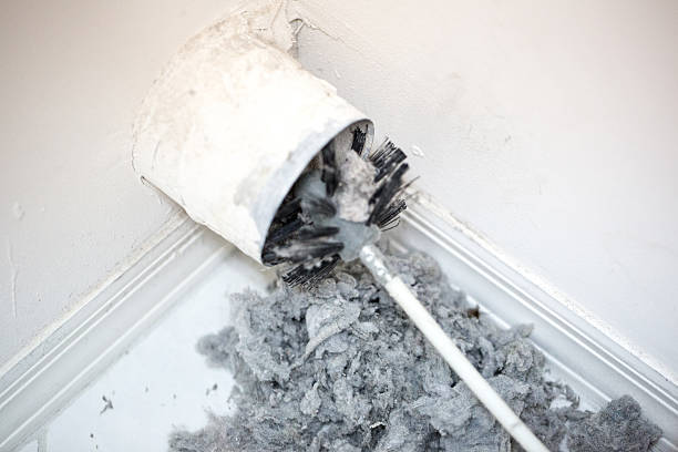 Best HVAC Maintenance and Cleaning  in South Roxana, IL